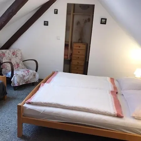 Apartman Bechyne *
