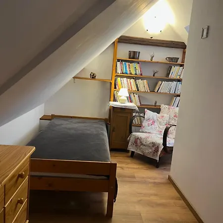 Apartman Bechyne アパート